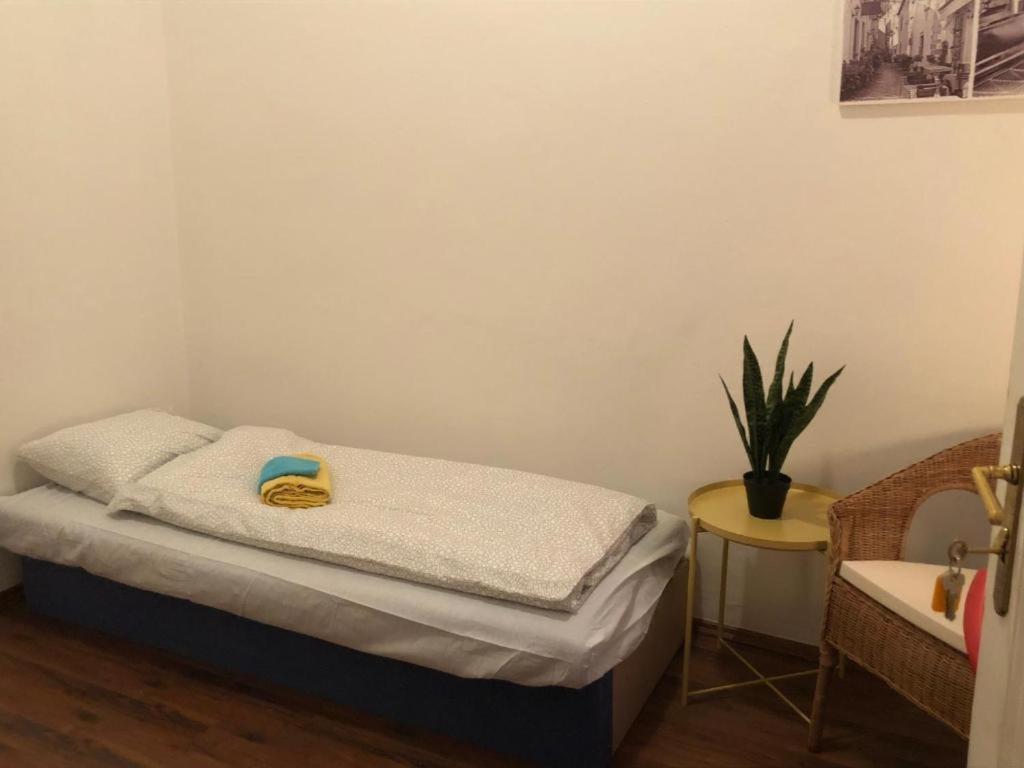 Apatrhostel Brno Brünn (Brno) Kültér fotó