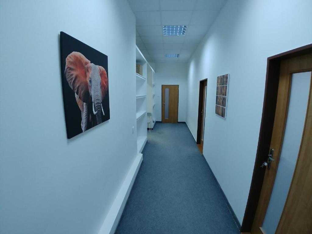 Apatrhostel Brno Brünn (Brno) Kültér fotó